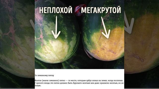 Учимся выбирать вкусные арбузы