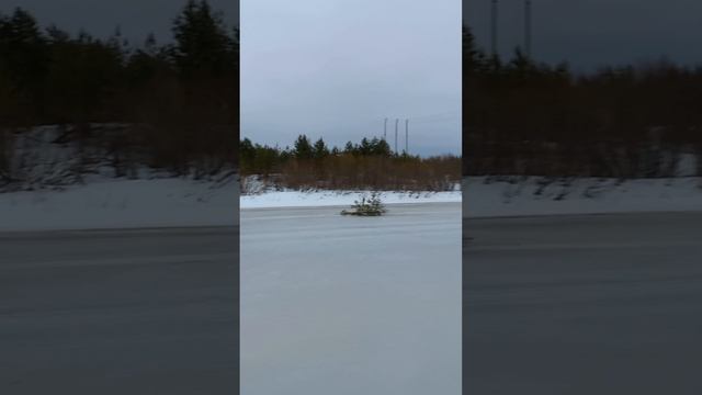 Сходил на рыбалку