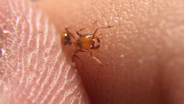 6511a06e3babcb55aa545302617e0296