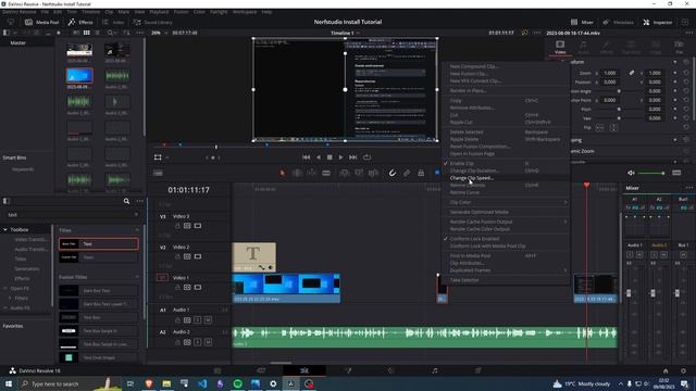 Davinci Resolve - Freeze Frame