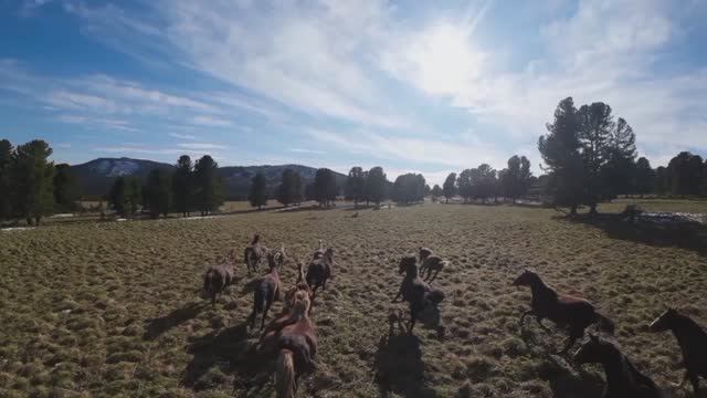 Не для меня ....