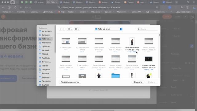Обучение работе с Tilda. Урок пятый: Первый блок