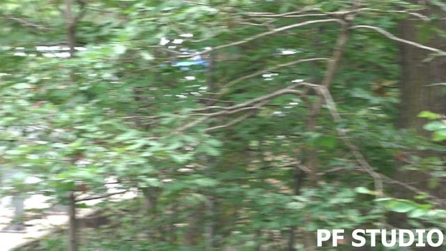 Tomáš Omelka - VW Polo - EDDA CUP Řevnice BRDY 2021