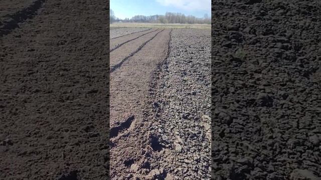 Фреза с трактором Т-25