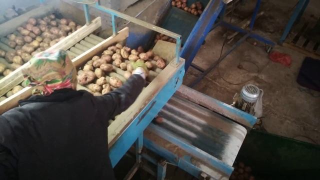 Сортировка картошки 2018