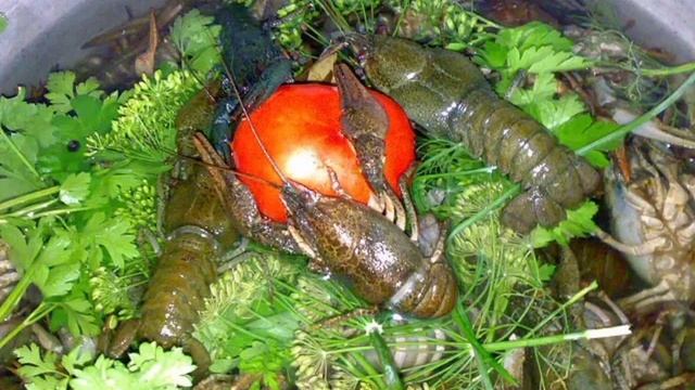 6a6668a4c9485a91197a700d6ae6c64d