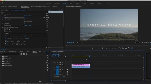 How To Make A Clean CINEMATIC TITLE ANIMATION In Premiere Pro