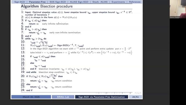 Семинар 5. Parameter-free Sign-SGD