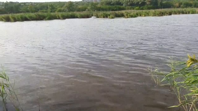 Славянск. 14 августа 2022г. Вечер.