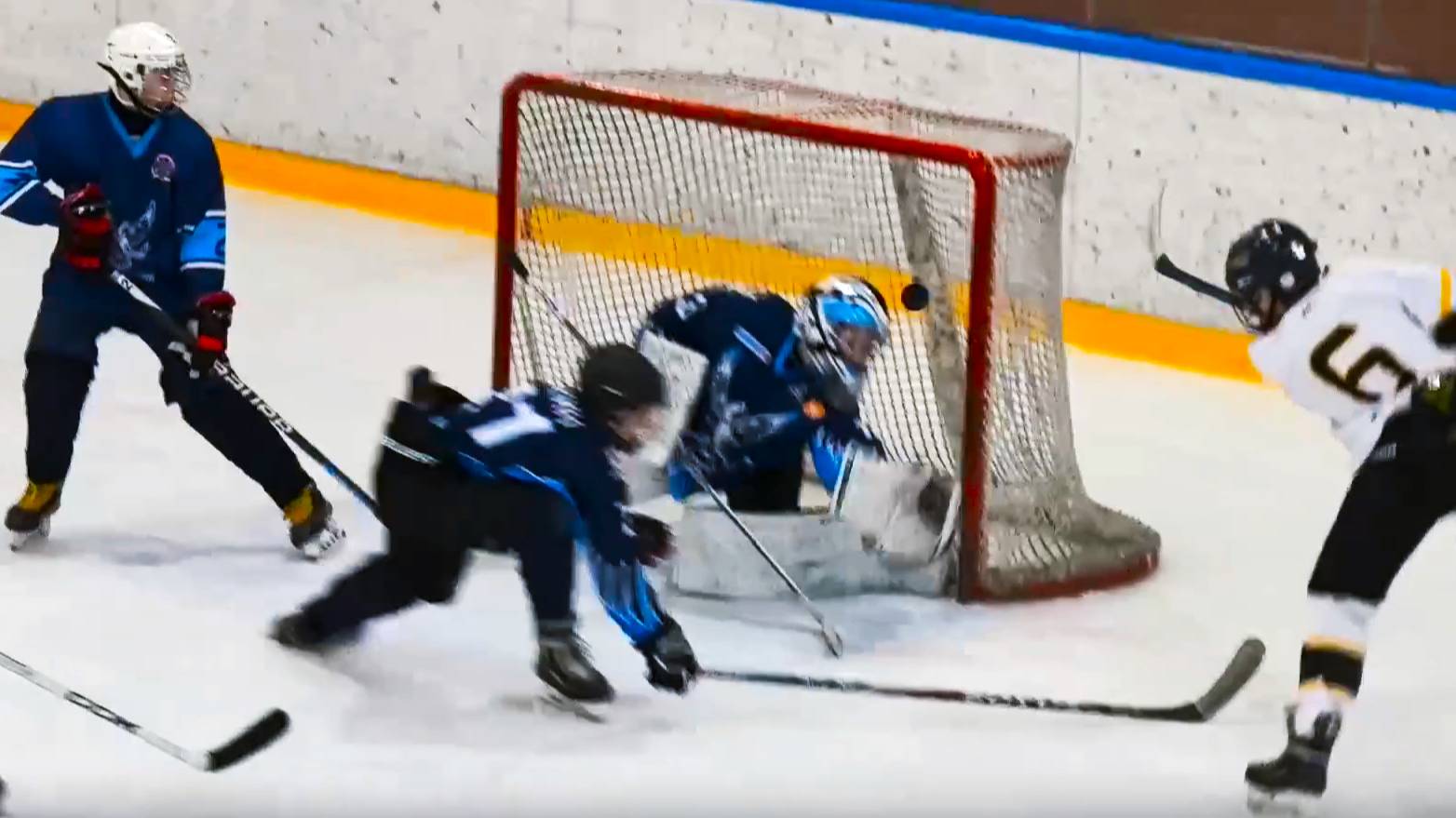 Синяя птица - Пингвины