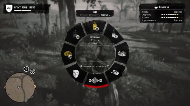 Я иду по полю с конем