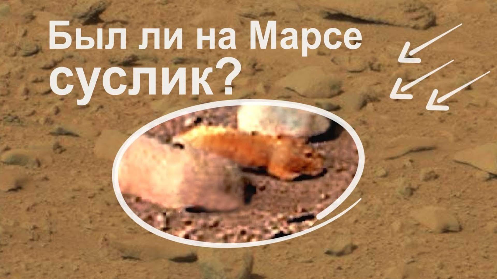 А был ли на Марсе Суслик? - необычная фотография марсохода Curiosity
