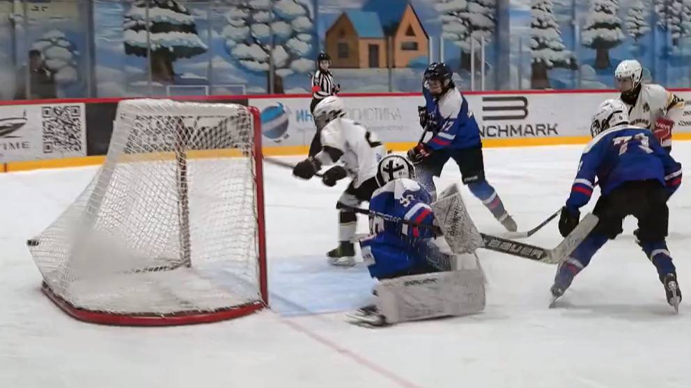 Гранит - Пингвины