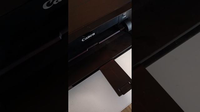 Александр Малюгин