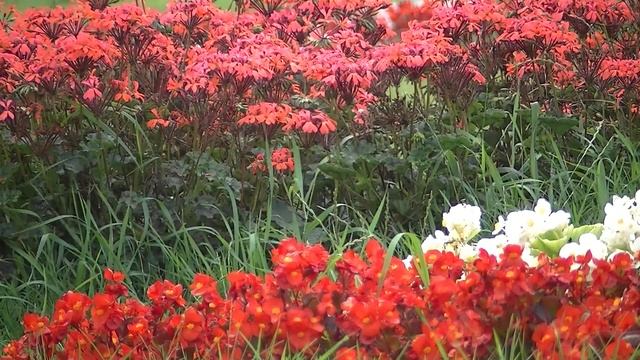 9337c2998724e16a379accb414c751ce