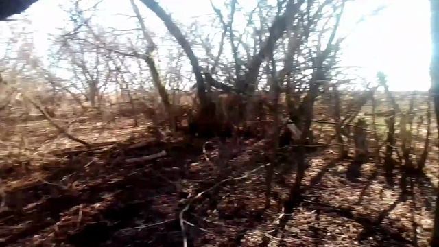 Хутор Вишняковых, захватил густой туман. Убираем, приводим наш любимый уголок жизни,  в порядок.