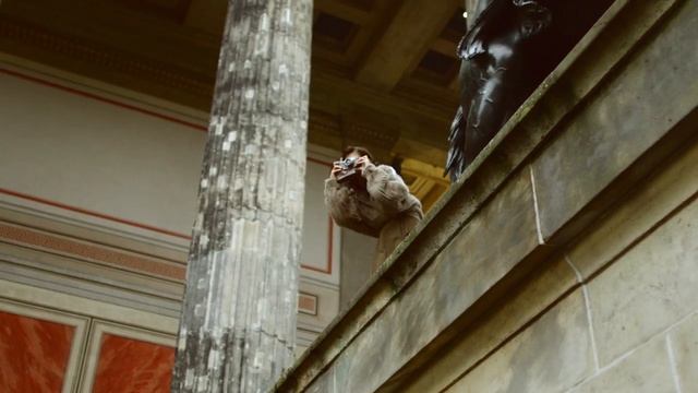 FENDI Resort 2020 Fashion Film _ Directed By VIVIENNE & TAMAS