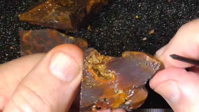 Koroit Nut Opal Material From Queensland Australia - Ro1236