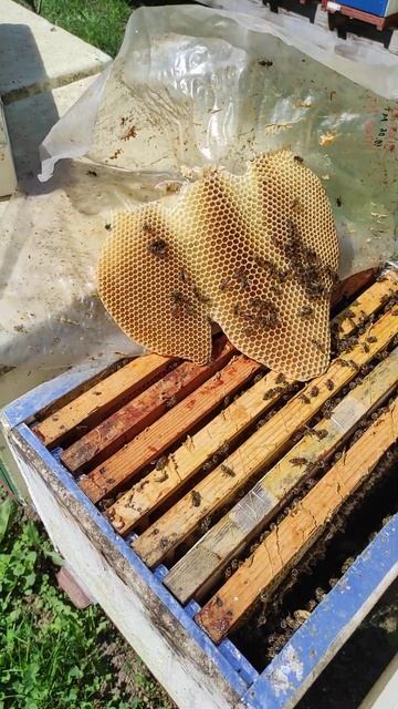 0bee5148f9fa16abb6575ac5080d638b