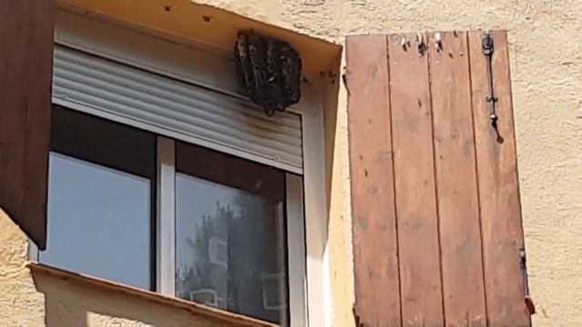После карантина открыли ставни а там 😲