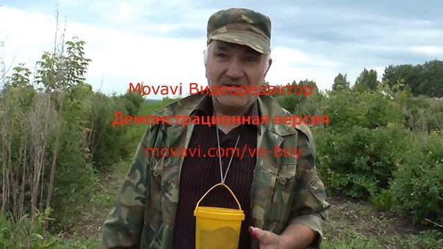 станичники