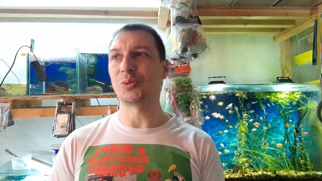 Нам 11 лет! Спасибо что вы с нами!