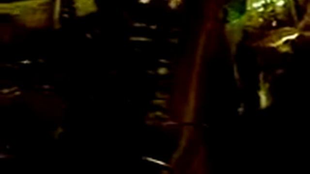 Пожар в Москве .Что делает температура с машиной.