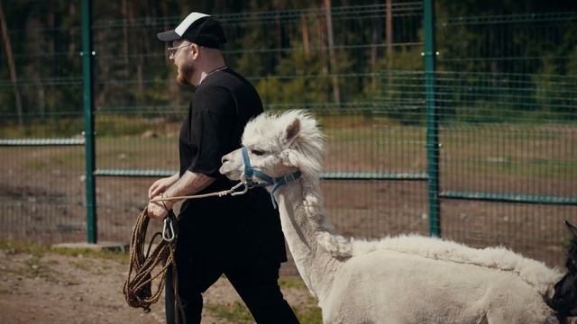 Алексей Киселёв: Монстры рока в Тушино. 30 лет спустя, Amatory документалистика твоих кумиров!