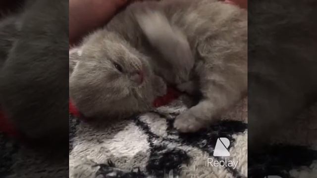 66f204d513460feb997ea60ab375c7b9