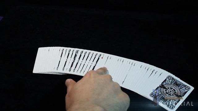 9a88ed7b969c247f61efd57cd850e78f