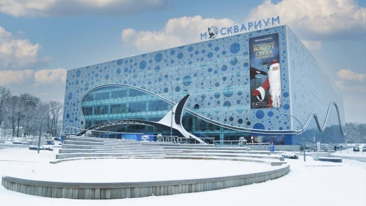 Однажды в Москвариуме