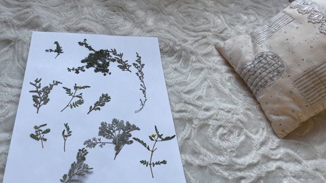 как я провожу свой выходной день💫 наслаждаюсь чтением, гуляю, отдыхаю