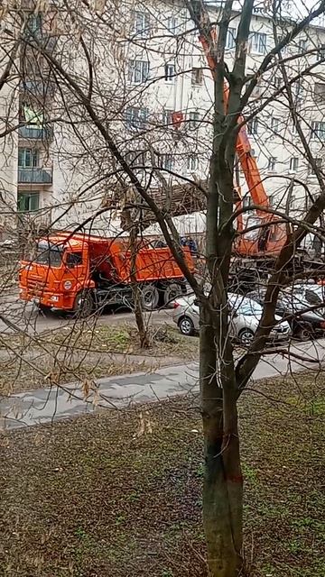 ПОДНЯЛИ И УВЕЗЛИ.