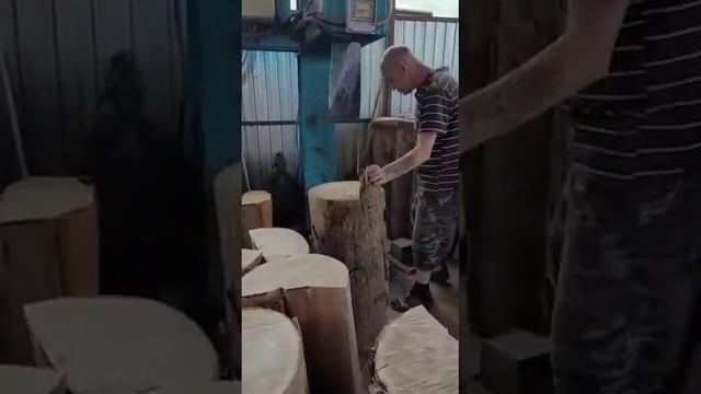 Serene Summer Sanctuary