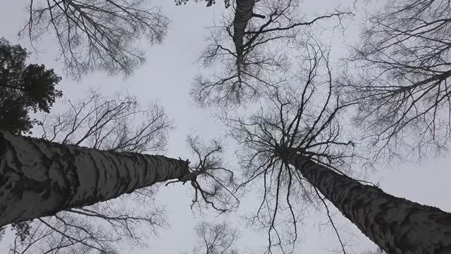 6ad2e41e1aa2ab22df9d0d1689a38b9f