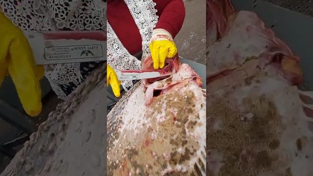 ЛИДУНЬКА РАЗДЕЛЫВАЕТ КАМБАЛКУ
