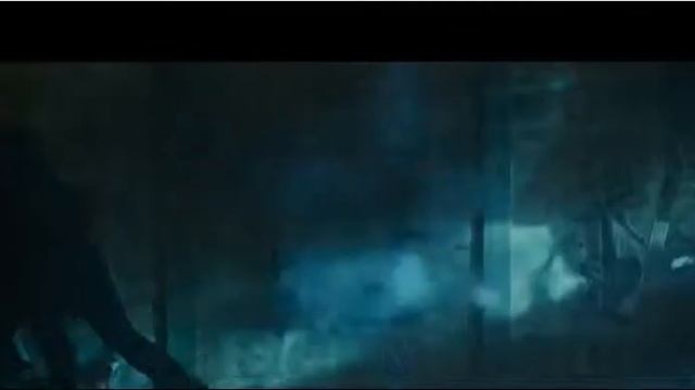 A7e794c4cc7d13419c39a128ccd38fdf