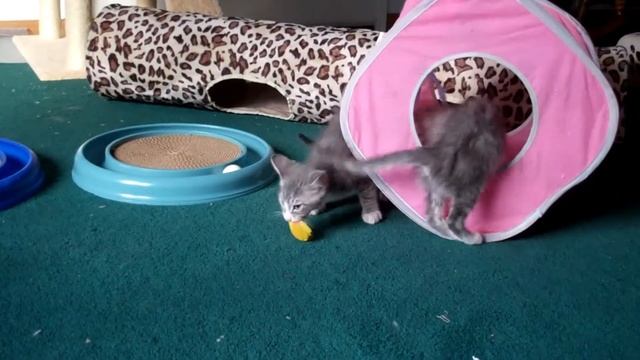 5252161385a31021861bdda7bc076074