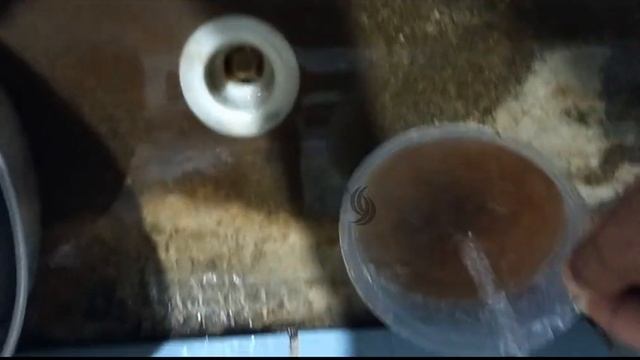 How To Extract Fibers From Different Palms: Nipa, Anahaw, Coconut & Landscape Palms