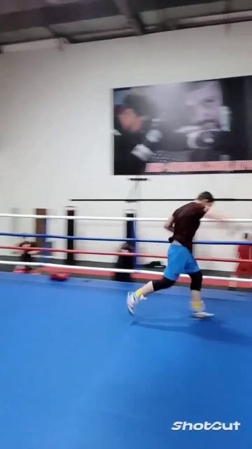 Эми ма быстрый ву😅Чечня Грозный Шали Бокс 👊👊