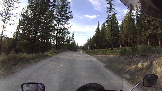 Путь к кату ярыку1