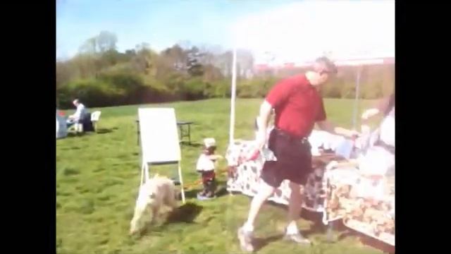 Give A Doggy A Bone Shark Tank Video Submission Financials Deleted With Melissa Gruenhagen