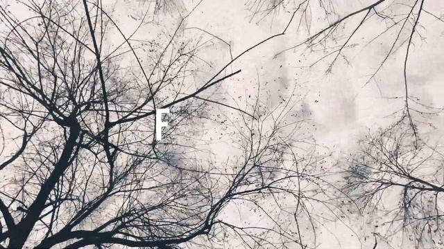 FREE Cinematic Luts | Color Grading | How To Apply Luts In Adobe Premiere Pro | My Favourite Luts
