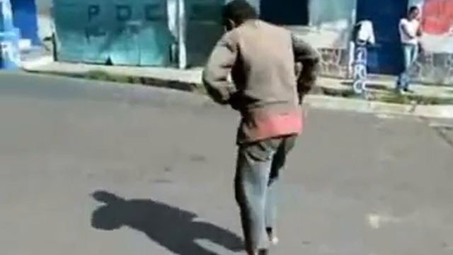 AGAPORNI PA PARLE AMERICANO