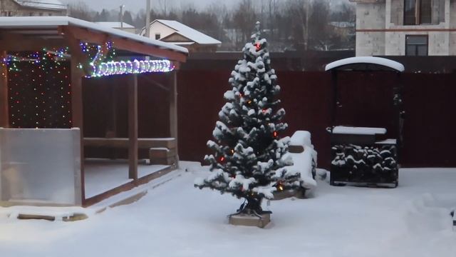 Елочка - гори (01/2016)