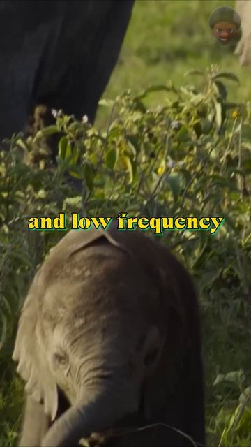 A908da79ca0b74b37ba2f8b752b890e3