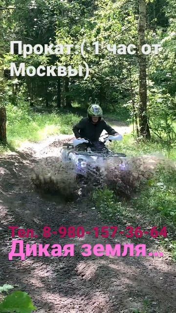 A6349a051281d9531288c654bfe76a11