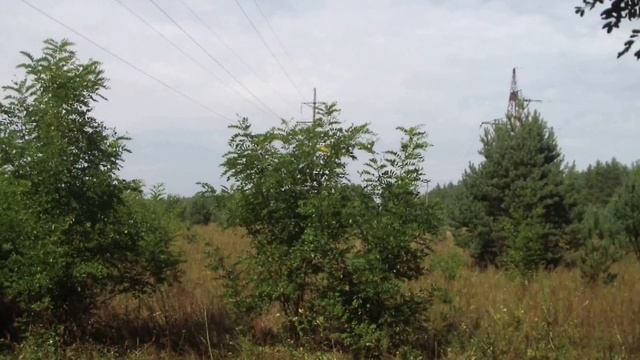 Нелегалка Переход до Припяти ЧЗО часть 1