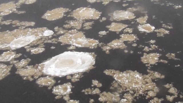 Мост на Парышев