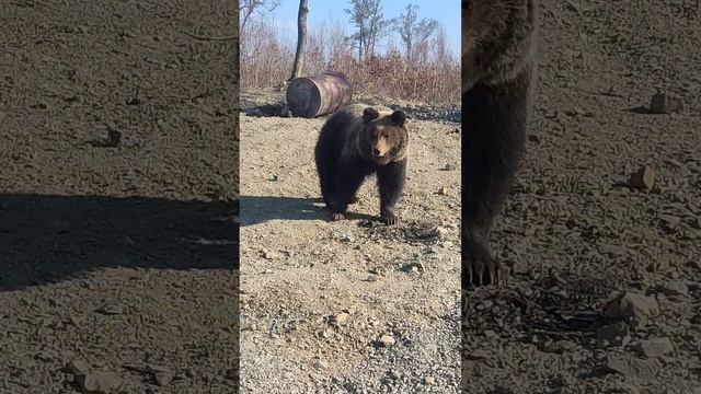 A552545d371b6581d46923148388df6b